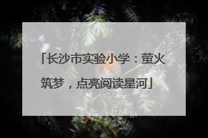 长沙市实验小学：萤火筑梦，点亮阅读星河