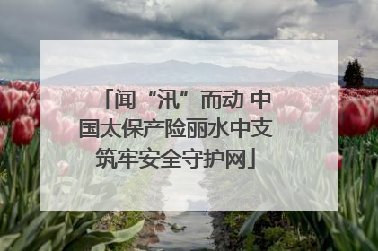 闻“汛”而动 中国太保产险丽水中支筑牢安全守护网