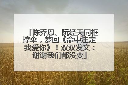 陈乔恩、阮经天同框撑伞，梦回《命中注定我爱你》！双双发文：谢谢我们都没变