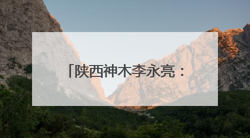 陕西神木李永亮：扎根乡土守初心 深耕药田践使命
