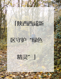陕西西咸新区守护“绿色精灵”