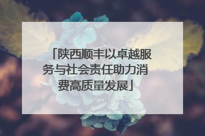 陕西顺丰以卓越服务与社会责任助力消费高质量发展