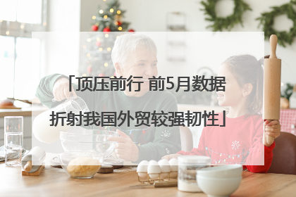 顶压前行 前5月数据折射我国外贸较强韧性