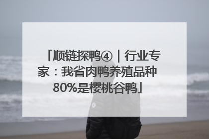 顺链探鸭④｜行业专家：我省肉鸭养殖品种80%是樱桃谷鸭