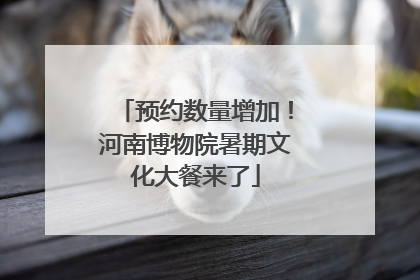 预约数量增加！河南博物院暑期文化大餐来了