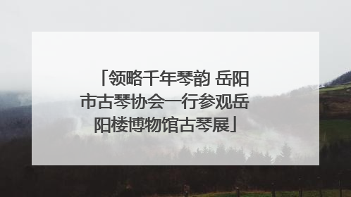 领略千年琴韵 岳阳市古琴协会一行参观岳阳楼博物馆古琴展