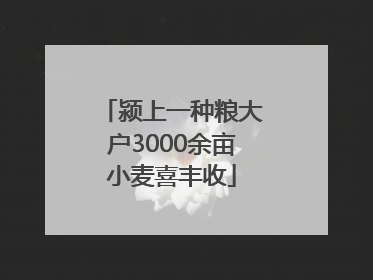 颍上一种粮大户3000余亩小麦喜丰收