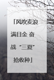 风吹麦浪满目金 奋战“三夏”抢收种