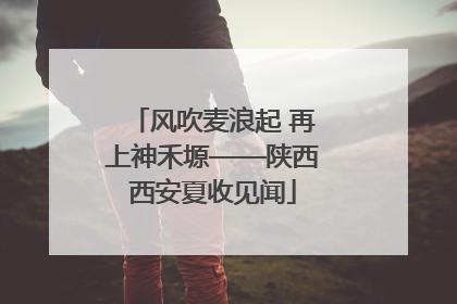 风吹麦浪起 再上神禾塬——陕西西安夏收见闻