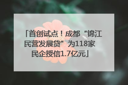 首创试点！成都“锦江民营发展贷”为118家民企授信1.7亿元