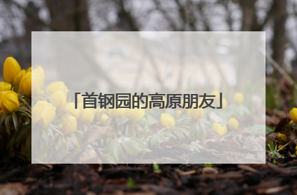 首钢园的高原朋友