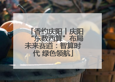 香约庆阳丨庆阳“东数西算”布局未来赛道：智算时代 绿色领航