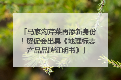 马家沟芹菜再添新身份！贸促会出具《地理标志产品品牌证明书》