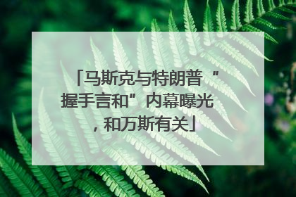 马斯克与特朗普“握手言和”内幕曝光，和万斯有关