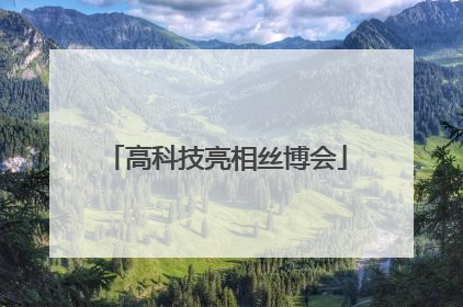 高科技亮相丝博会