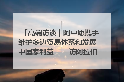 高端访谈｜阿中愿携手维护多边贸易体系和发展中国家利益——访阿拉伯议会议长亚马希