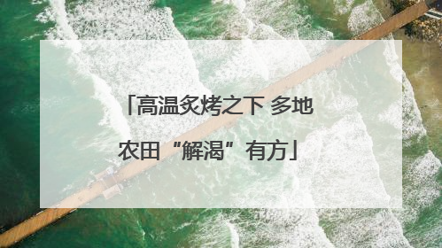 高温炙烤之下 多地农田“解渴”有方