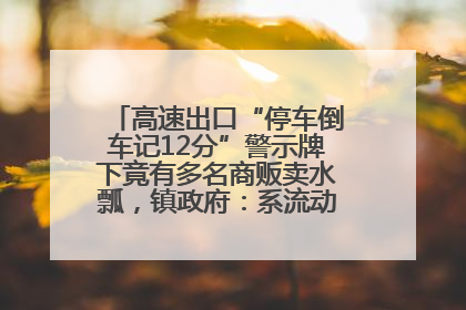 高速出口“停车倒车记12分”警示牌下竟有多名商贩卖水瓢，镇政府：系流动摊位，已多次劝离