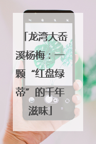 龙湾大岙溪杨梅：一颗“红盘绿蒂”的千年滋味