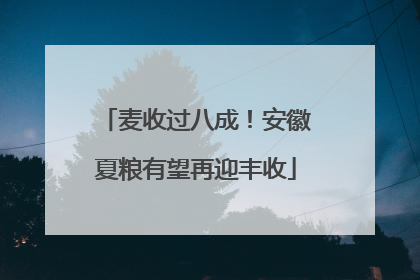 麦收过八成！安徽夏粮有望再迎丰收