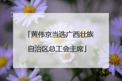 黄伟京当选广西壮族自治区总工会主席
