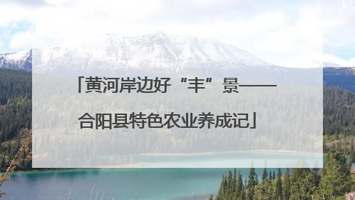 黄河岸边好“丰”景——合阳县特色农业养成记