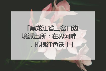 黑龙江省三岔口边境派出所：在界河畔，扎根红色沃土