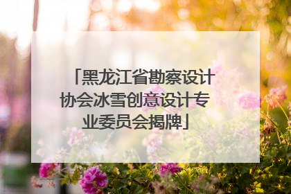 黑龙江省勘察设计协会冰雪创意设计专业委员会揭牌