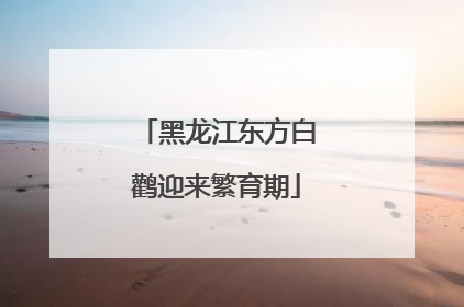 黑龙江东方白鹳迎来繁育期