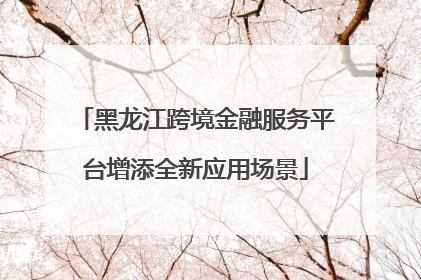 黑龙江跨境金融服务平台增添全新应用场景