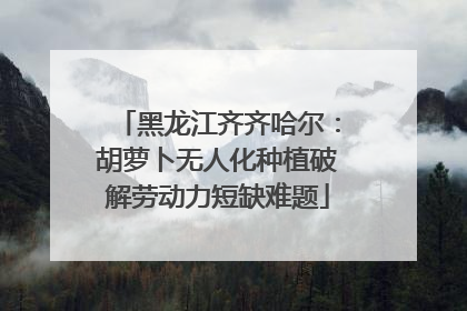 黑龙江齐齐哈尔：胡萝卜无人化种植破解劳动力短缺难题