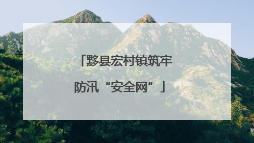 黟县宏村镇筑牢防汛“安全网”