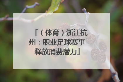 （体育）浙江杭州：职业足球赛事释放消费潜力