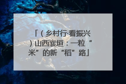 （乡村行·看振兴）山西襄垣：一粒“米”的新“稻”路