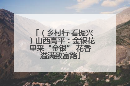 （乡村行·看振兴）山西高平：金银花里采“金银” 花香溢满致富路