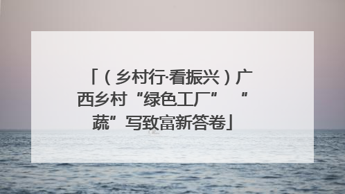 （乡村行·看振兴）广西乡村“绿色工厂” “蔬”写致富新答卷
