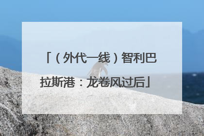 （外代一线）智利巴拉斯港：龙卷风过后