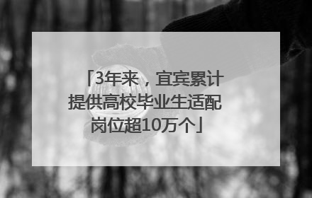 3年来，宜宾累计提供高校毕业生适配岗位超10万个