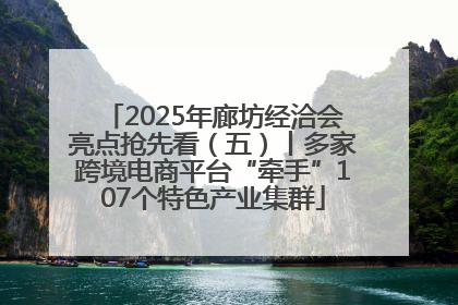 2025年廊坊经洽会亮点抢先看（五）丨多家跨境电商平台“牵手”107个特色产业集群