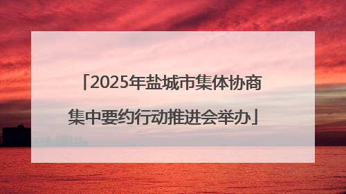 2025年盐城市集体协商集中要约行动推进会举办