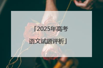 2025年高考语文试题评析