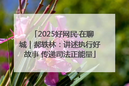 2025好网民·在聊城｜郝轶林：讲述执行好故事 传递司法正能量