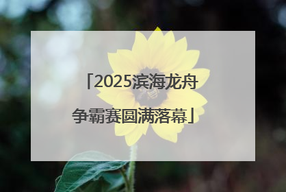 2025滨海龙舟争霸赛圆满落幕