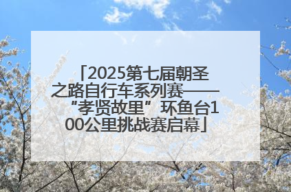 2025第七届朝圣之路自行车系列赛——“孝贤故里”环鱼台100公里挑战赛启幕