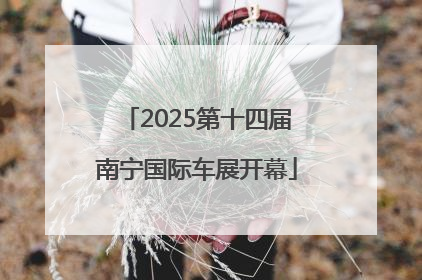 2025第十四届南宁国际车展开幕