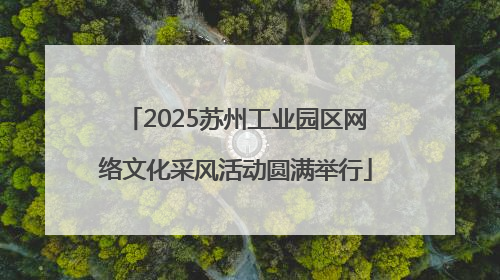 2025苏州工业园区网络文化采风活动圆满举行