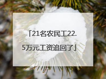 21名农民工22.5万元工资追回了