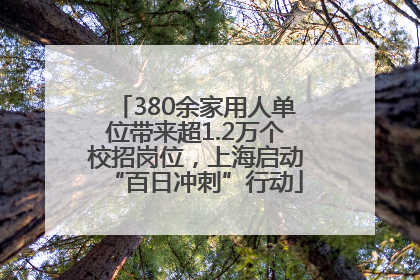 380余家用人单位带来超1.2万个校招岗位，上海启动“百日冲刺”行动