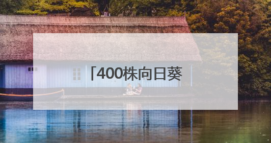 400株向日葵空降武汉校园