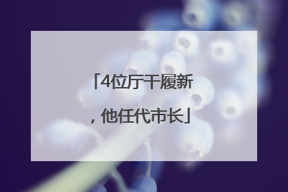 4位厅干履新，他任代市长